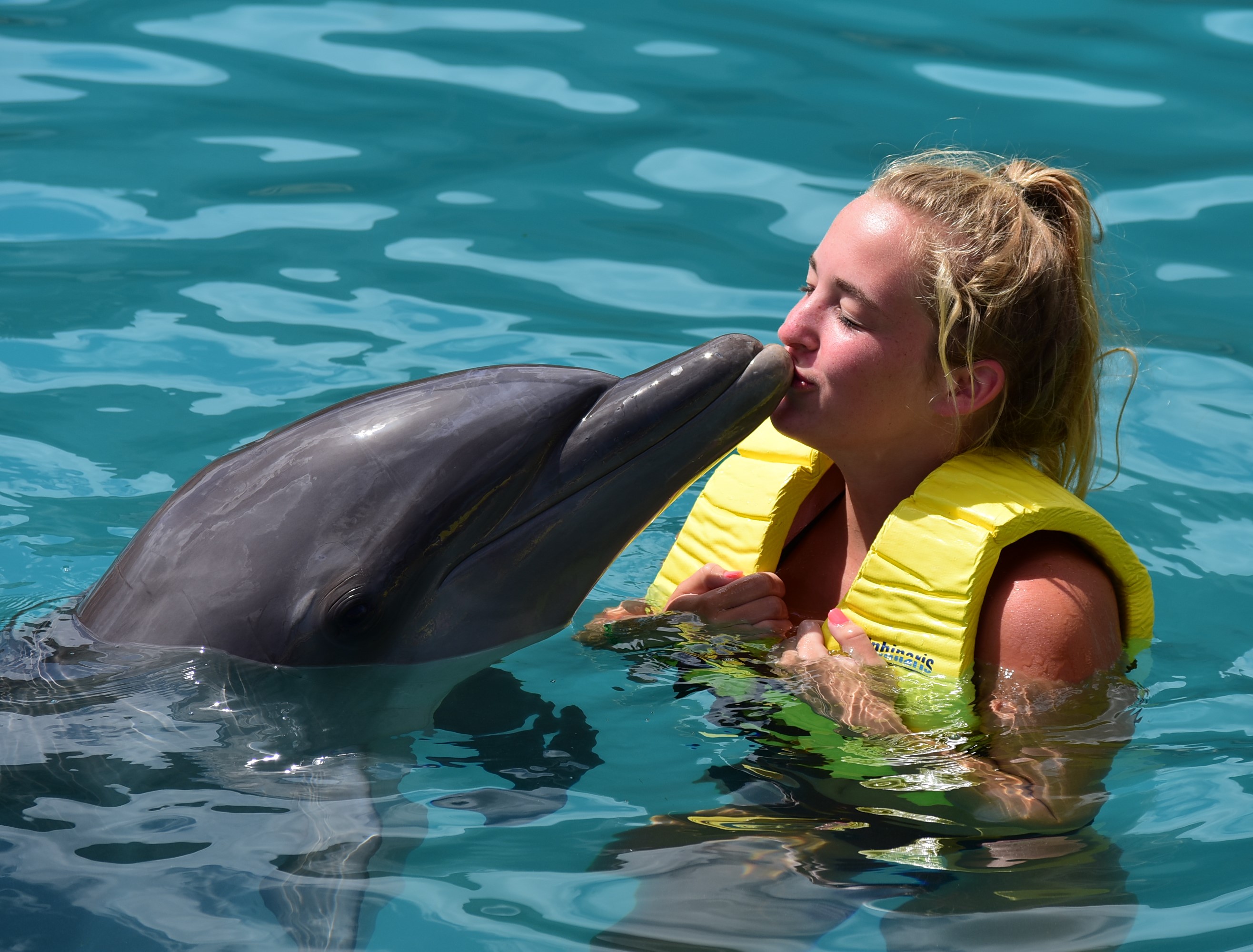 Kissing dolphin