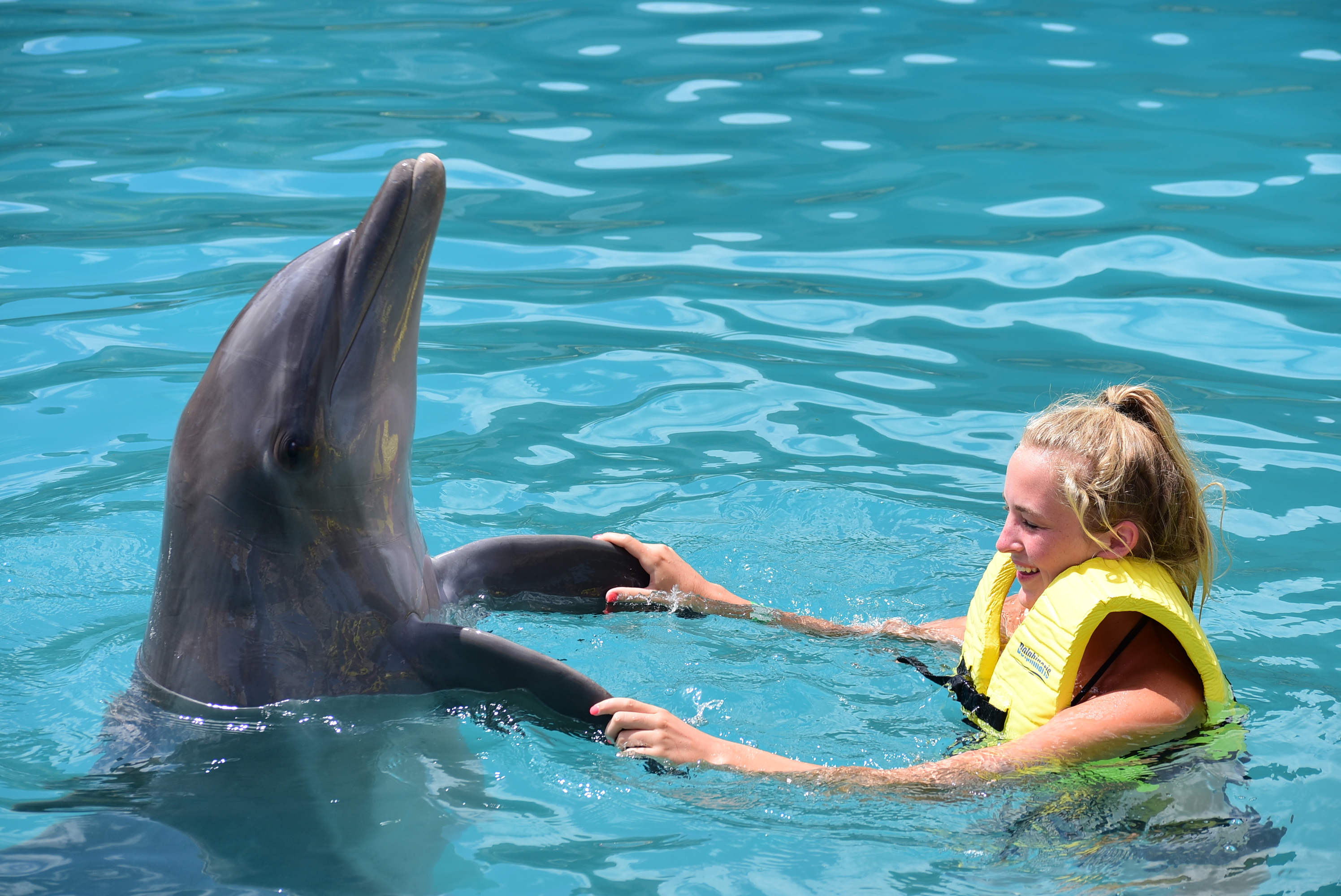 dancing with dolphin